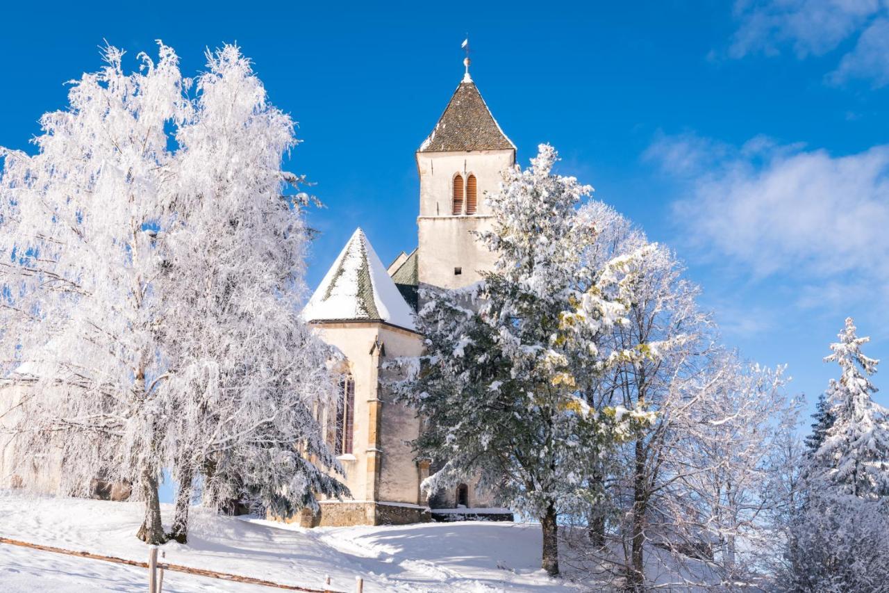 Gipfelhaus Magdalensberg Hotel Санкт Файт ан дер Глан Екстериор снимка